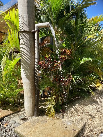 The grounds at Johnny's Beach Bungalow, Playa Avellanas